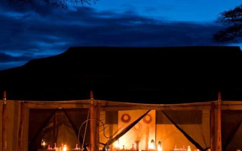 Mara Mara Under Canvas