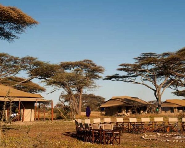 Ndutu Under Canvas Tented Camp - Tanzania, 2-Week Tanzania Itinerary, 10 Best Tanzania Wildlife Safari Tours, 13 Reasons Why Tanzania Is The Top Safari Destination In Africa, Top 10 Interesting Facts About Tanzania, 10 Top Activities While on Safari