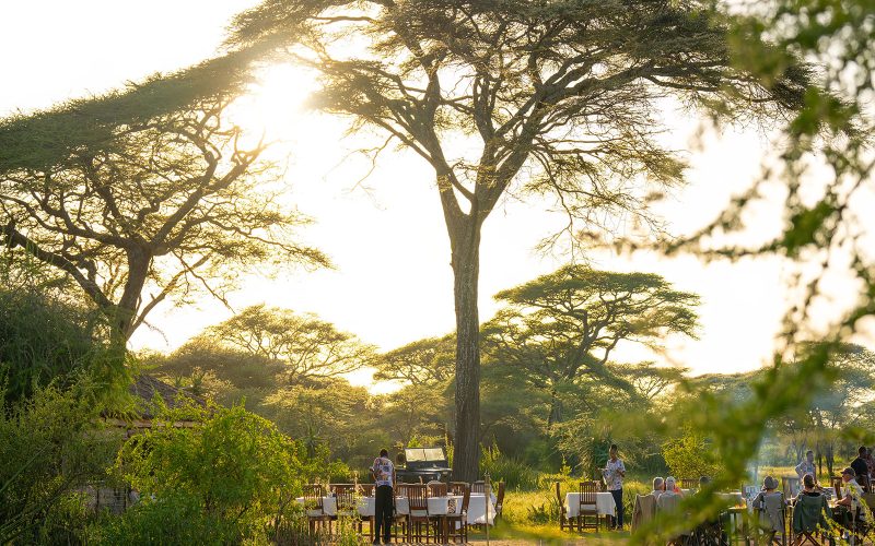 Ndutu Safari Lodge, A Guide to Choosing Safari Accommodation, Guide to Your First African Safari