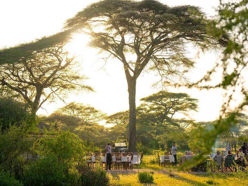 Ndutu Safari Lodge, A Guide to Choosing Safari Accommodation, Guide to Your First African Safari