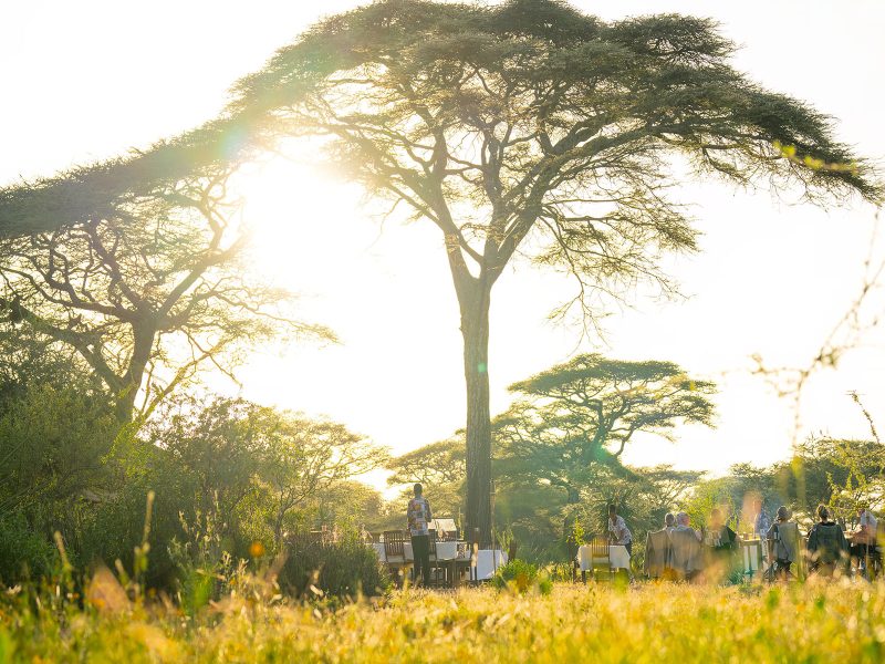 Ndutu Safari Lodge, Ultimate Northern Tanzania Safari Adventure