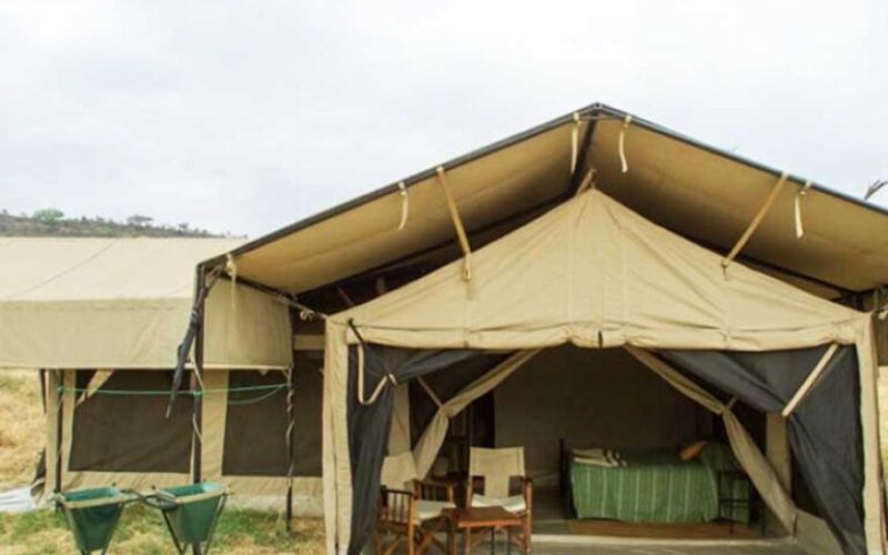 Ndutu Kati Kati Tented Camp