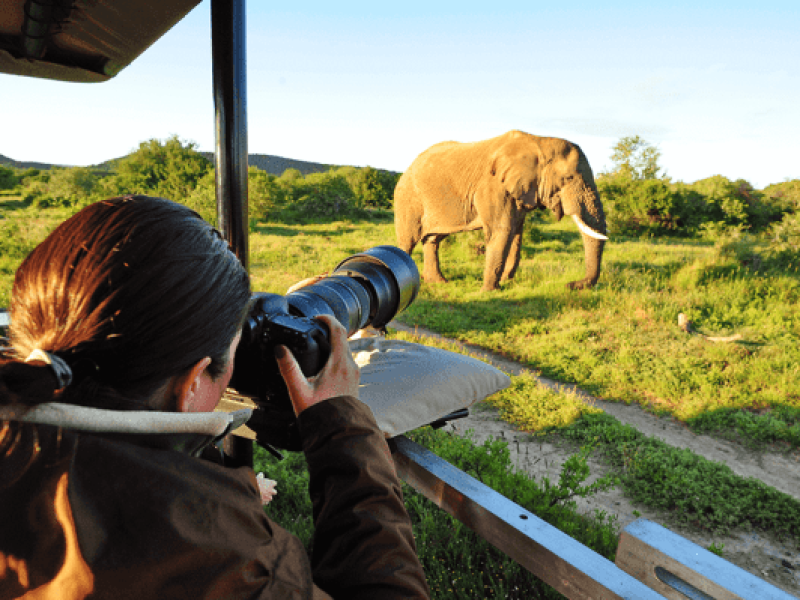 10 Best African Photographic Safaris, Best African Safaris for Seniors, 6 Unique Things To Do On Safari In Tanzania, Lake Manyara Safari Tours: Exploring the Untamed Beauty of Tanzania, Types of Safaris - Tailor-Made African Safari Vacations, Should You Travel Solo on an African Safari, Places to visit in Tanzania as a solo female traveller