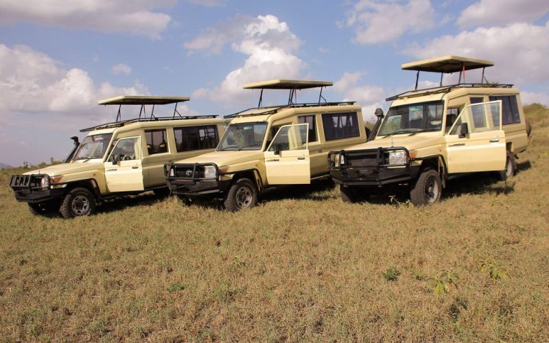 4x4 4WD open roof Land cruiser luxury Safari in Tanzania, Mkomazi National Park