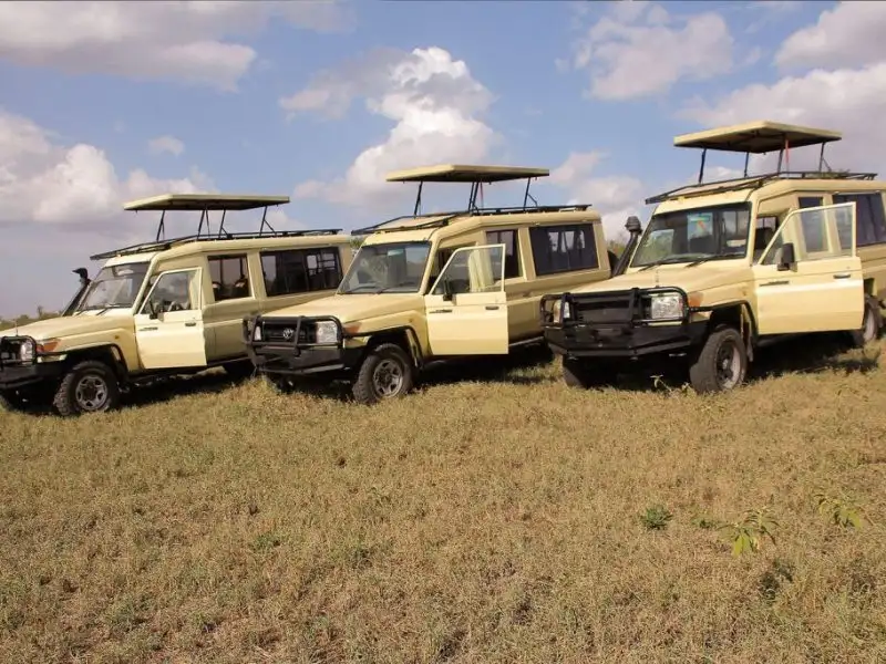 4x4 4WD open roof Land cruiser luxury Safari in Tanzania, Mkomazi National Park