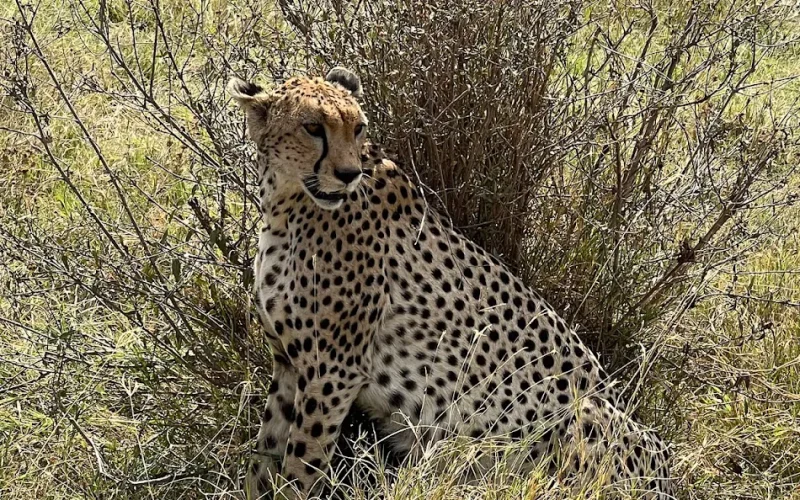 Safari in Tanzania, The best walking safaris in Tanzania