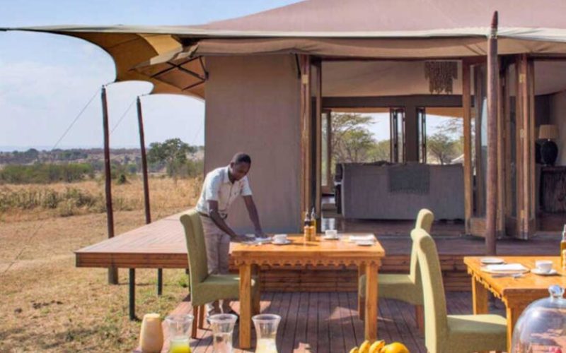 Sayari Camp Northern Serengeti National Park