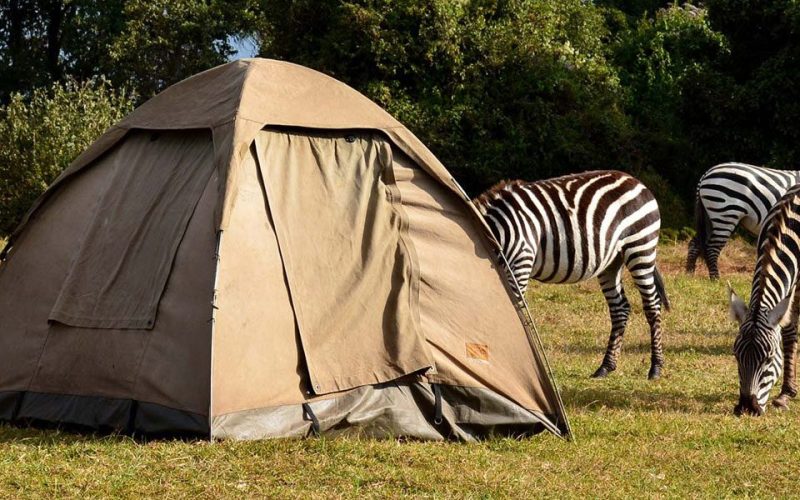 Serengeti Seronera Public Campsite,