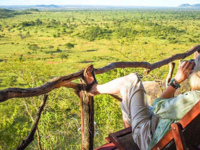 Ngorongoro Simba Lodge, About Tanzania Safaris, Top 10 Interesting Facts About the Ngorongoro Crater, Debunking 10 Myths About Traveling to Africa, 8 Days Serengeti Migration Safari, 6-Days The Great Serengeti Migration Safari, 10 Best Safari in Tanzania 2023/2024, 10 Reasons why Tanzania is the best Safari Country