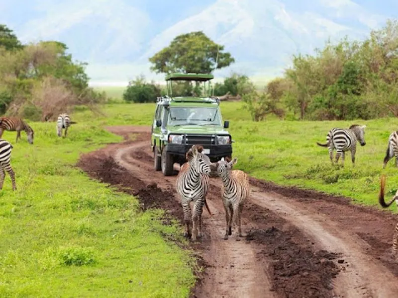 Aerial view of Ngorongoro Crater's vast volcanic caldera teeming with wildlife, 10-Day Best African Photographic Safaris