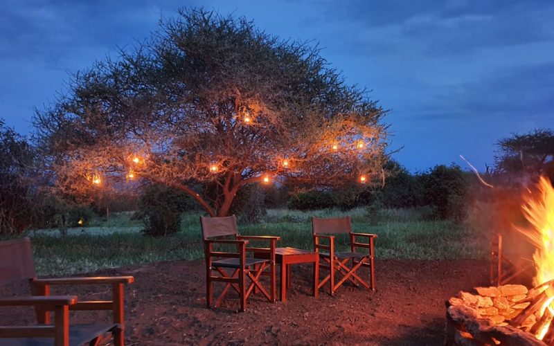 Experience luxury at Tarangire Kuro Treetops Lodge with breathtaking views of Ngorongoro, 9-Day Tanzania Family Safari with Older Children