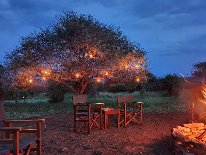 Experience luxury at Tarangire Kuro Treetops Lodge with breathtaking views of Ngorongoro, 9-Day Tanzania Family Safari with Older Children