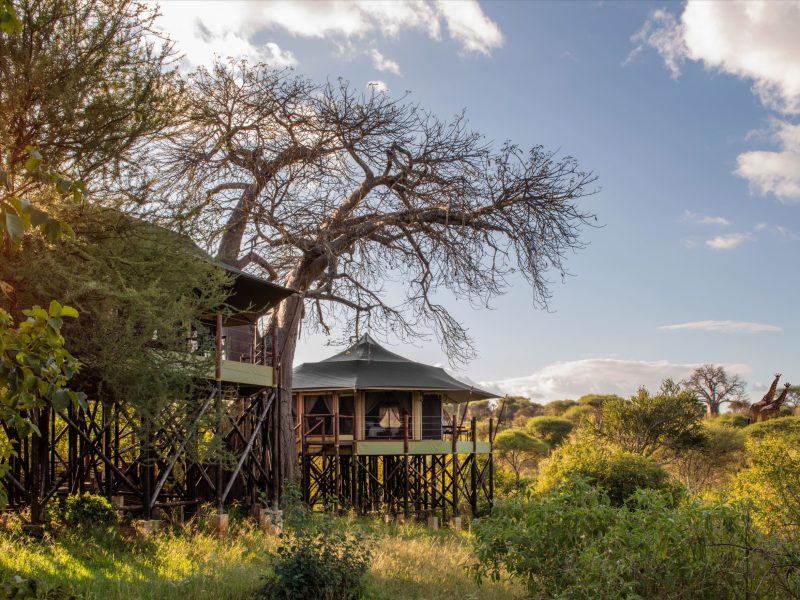 Experience luxury at Tarangire Kuro Treetops Lodge with breathtaking views of Ngorongoro, Tarangire Safari Accommodations, 12-Day Alluring East African Luxury Safari