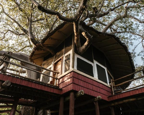 Tarangire Treetops by Elewana