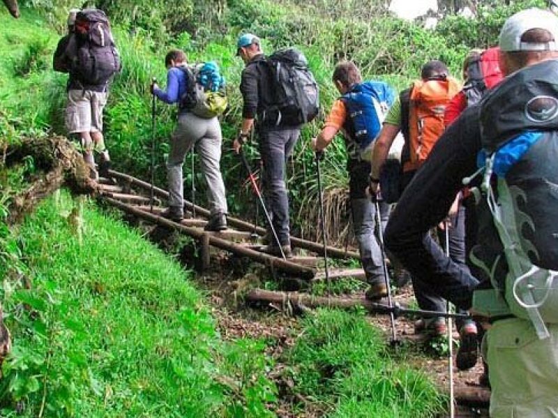 Climbing Mount Meru in Tanzania, Mount Meru Climbing, How Do I Prevent Injuries While Climbing Kilimanjaro? Can I Climb Kilimanjaro With No Training? Typical Day On Kilimanjaro, Who Should Not Climb Kilimanjaro?, How to Visit Mount Kilimanjaro without climbing to the Summit, The Heath/Moorland Zone of Mount Kilimanjaro,