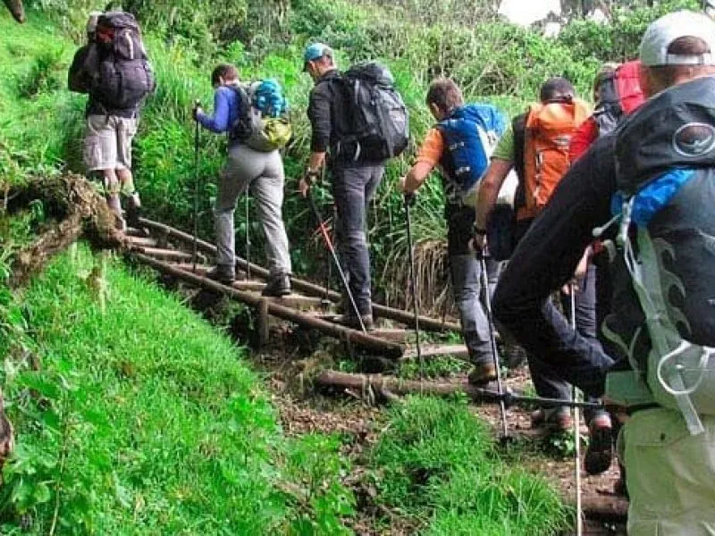Climbing Mount Meru in Tanzania, Mount Meru Climbing, How Do I Prevent Injuries While Climbing Kilimanjaro? Can I Climb Kilimanjaro With No Training? Typical Day On Kilimanjaro, Who Should Not Climb Kilimanjaro?, How to Visit Mount Kilimanjaro without climbing to the Summit, The Heath/Moorland Zone of Mount Kilimanjaro,