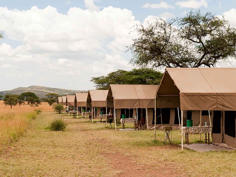 Serengeti Kati kati Tented Camp, Tanzania Glamping Experience