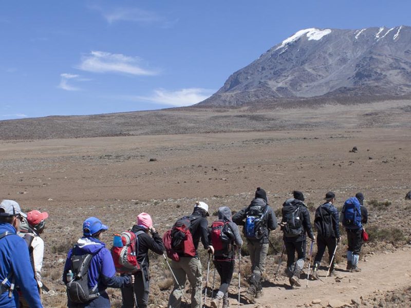 5 Days Kilimanjaro Climb Marangu Route, Climbing Mt Kilimanjaro during the rainy season, Top 10 Best Kilimanjaro Tour Companies 2021/2022/ 2023 Reviews, What Gloves Do I Need to Climb Kilimanjaro, Top Questions Everyone Asks Before Climbing Kilimanjaro, Kilimanjaro National Park Fees, Rules, and Regulations, Gertrude Benham First Woman to Summit Mount Kilimanjaro, Lemosho vs Machame: Which Kilimanjaro Route is Best for You? Things They Don’t Tell You About Climbing Kilimanjaro, Machame or Marangu? What happens to your body when you climb Kilimanjaro?