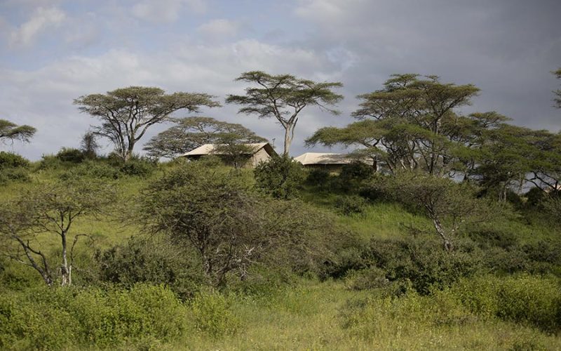 Nyikani Migration Camp - Kogatende