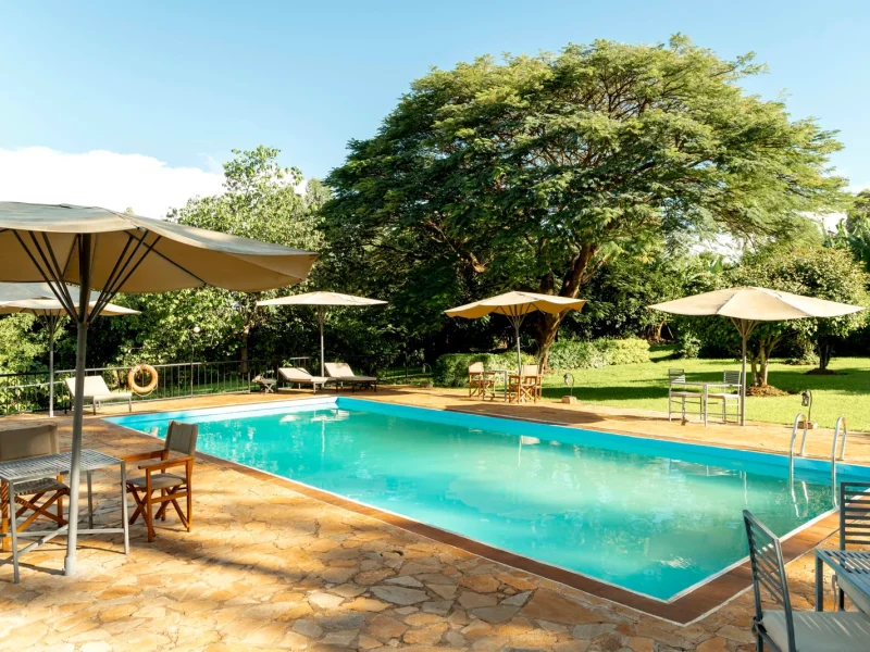 ole farm lodge karatu, Tanzania luxury Safari Packages, 5-Day Upper Mid-Range Best of Tanzania Safari