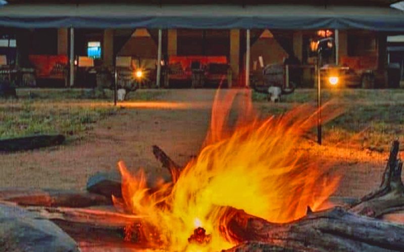 Robin's Safari Camp, Reasons to Choose Custom African Safari Tours